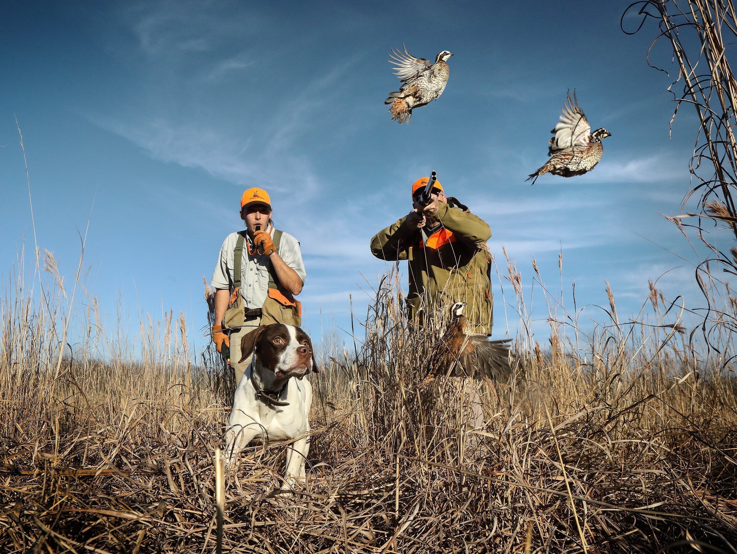 When the Sounds Don't Stop: Tinnitus Guide for Hunters and Shooters
